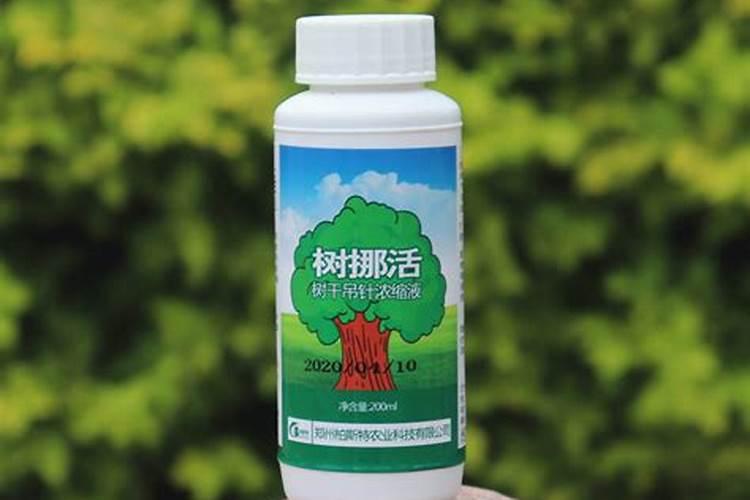 安基酸怎么生根