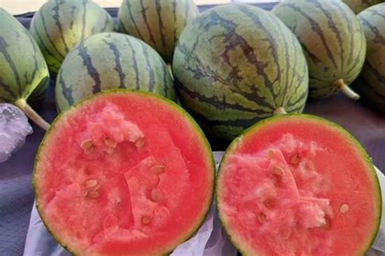 西瓜芯长接的有效办法是什么