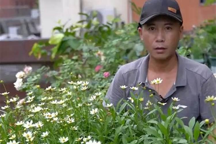 养花氮磷钾口诀,氮磷钾肥怎样施肥效果好