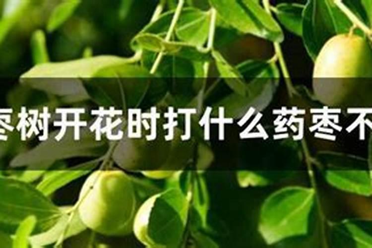 红枣对抗高温使用什么肥料