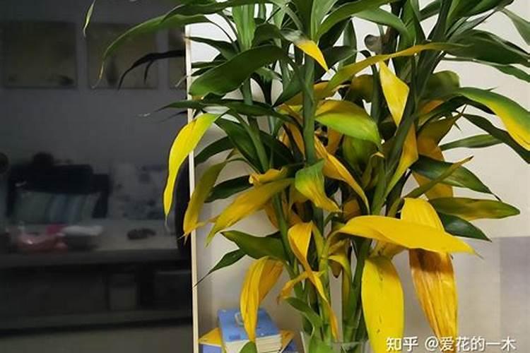 氮肥磷肥钾肥的作用