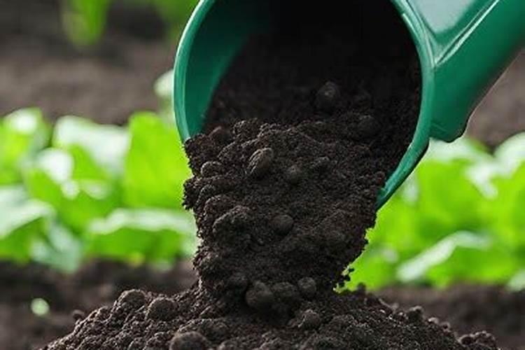 有机氮肥和无机氮肥的区别