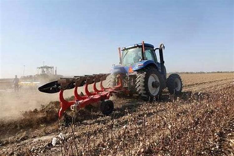 早熟禾播种前必须施肥吗？