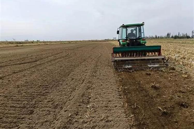 播种多久可以施肥 多长时间可以进行施肥？