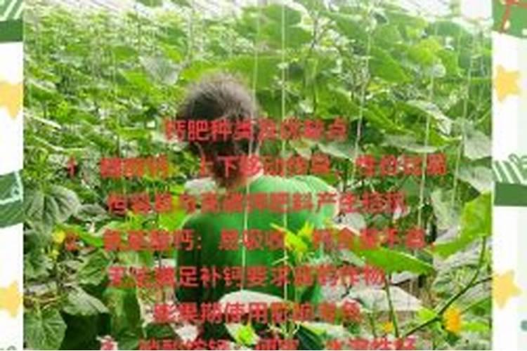普通钙肥与氨基酸钙叶面肥效果差别大吗？