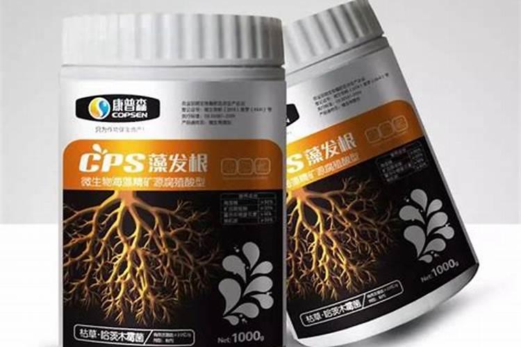 西瓜苗用什么肥料生根快,西瓜苗几月份开始育苗