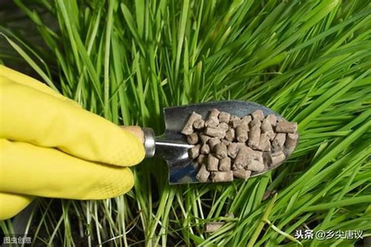 水溶肥的前十名 中国水溶肥的前十名