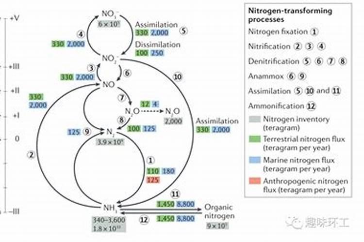 什么是总氮、氨氮、亚硝酸盐氮、硝酸盐氮？