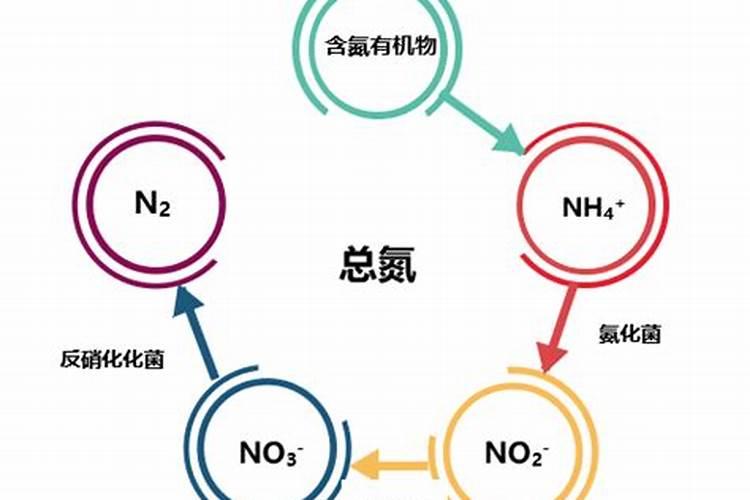 如何确定棉花的氮肥用量及选择氮肥品种？