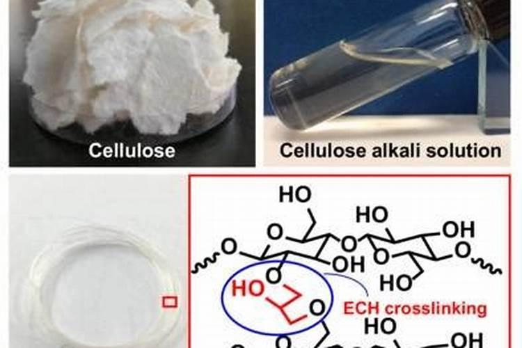 烟灰能做家庭养绿萝的肥料吗