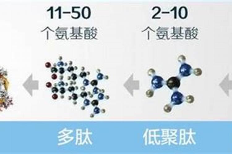 腐植酸和氨基酸的区别是什么