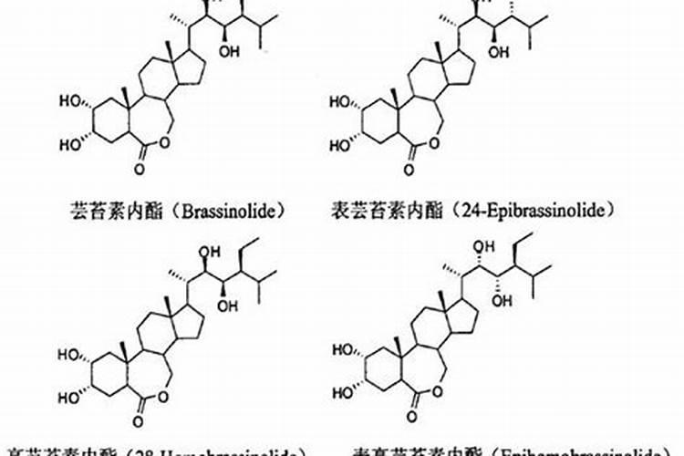 芸苔素内酯的分类和作用