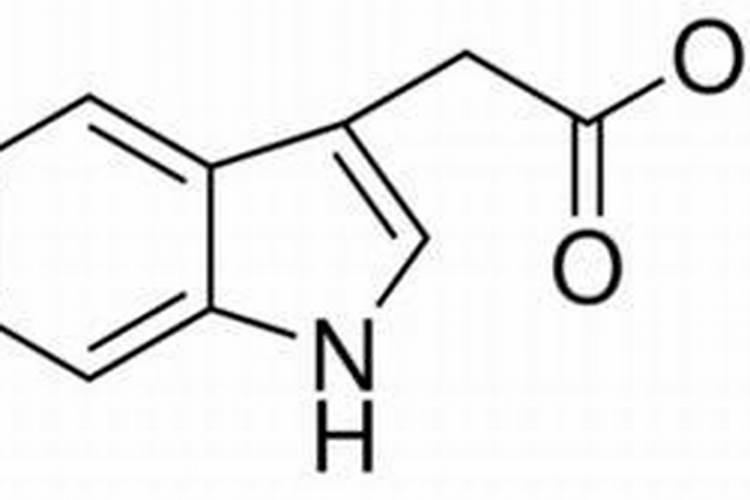 除了黄府植酸钾还有什么生根
