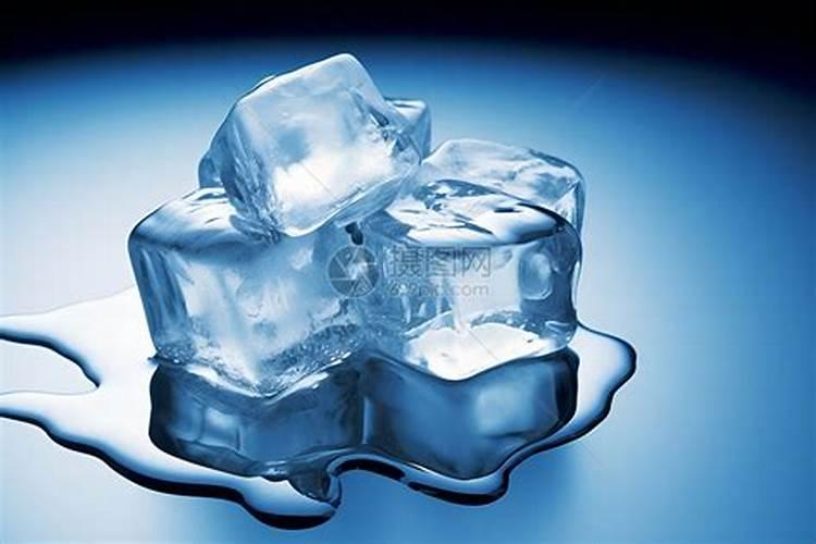 带花苞的春兰蕙兰怎么换盆？