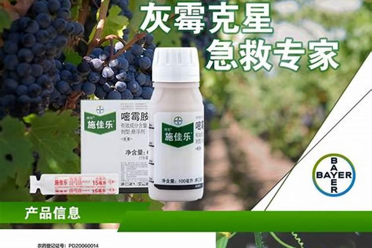 氮肥股票有哪些龙头股