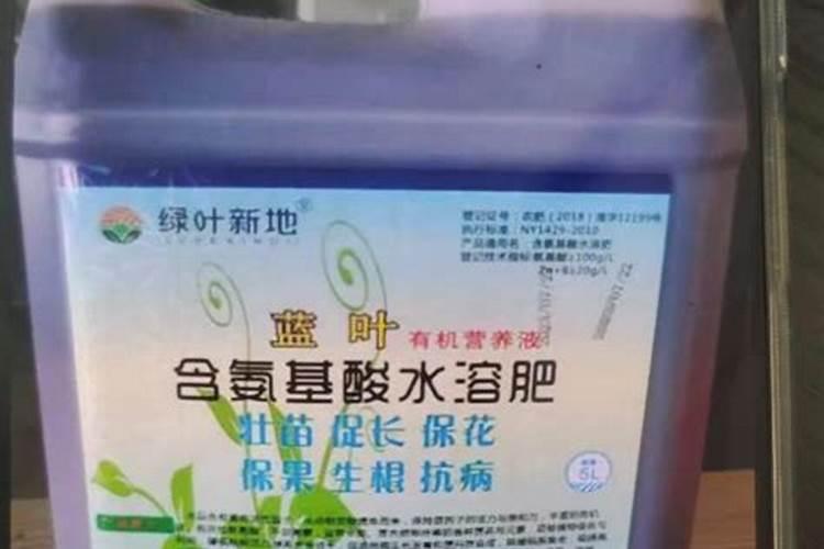 芦荟喜欢什么肥料