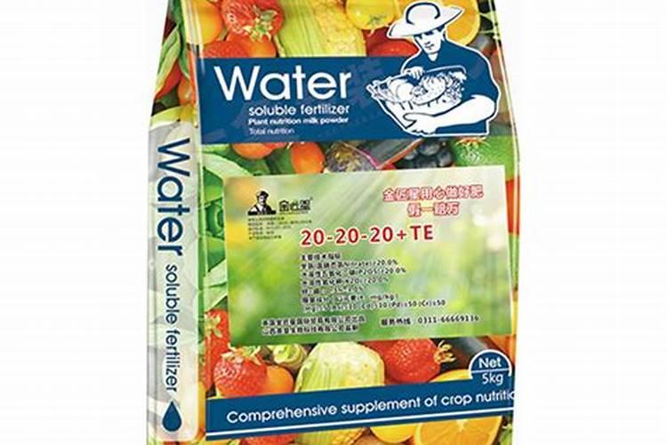 长寿花施什么肥好,长寿花施氮磷钾肥料最好