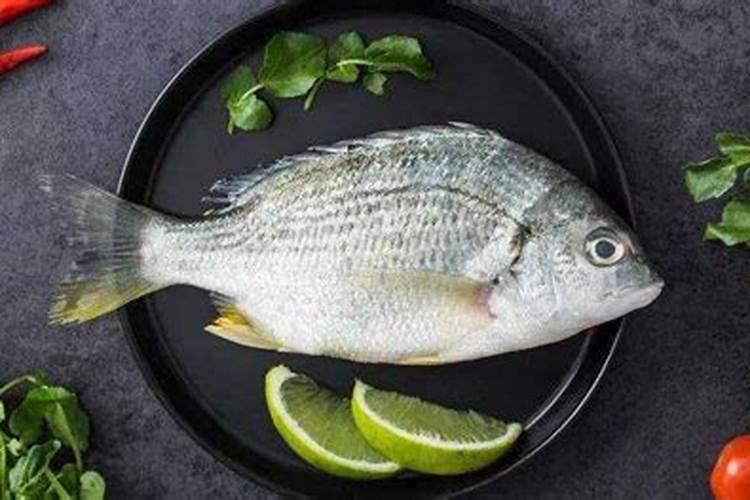 当自制鱼蛋白有氨气出现时要如何应对