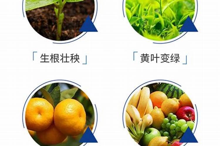 鱼蛋白桶肥对作物效果好处,鱼蛋白桶肥功能和效果