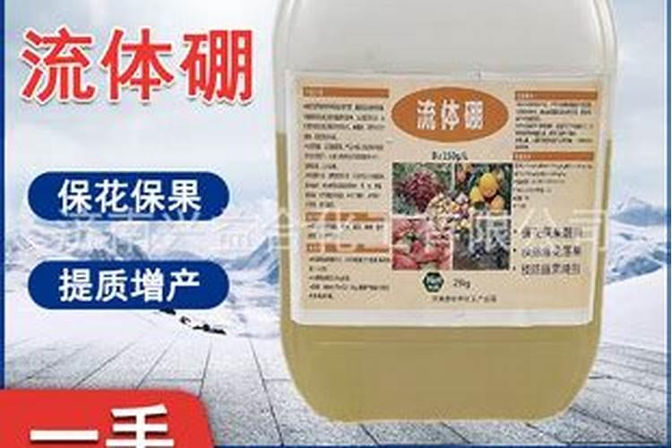 济南地区露地怎样种植菜花