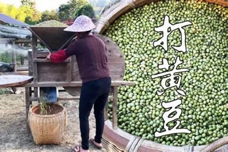 黄豆盛花期可不可以打叶面肥,大,黄豆开花期,能不能打叶面肥？