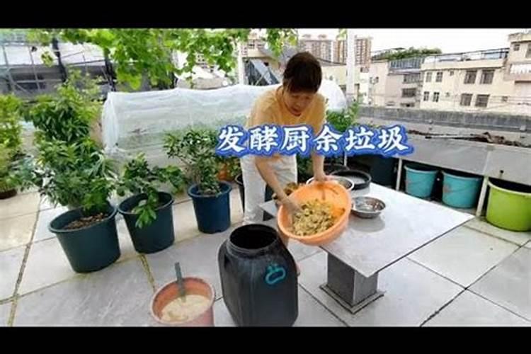 油枯最简单的发酵方法做水肥