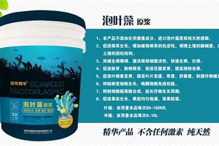 海藻精自制发酵方法