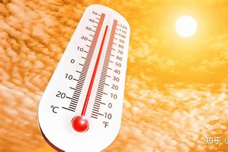 氮肥是什么肥料,氮钾追肥使用方法