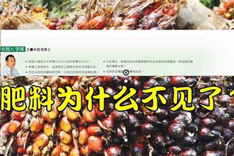 ...沼液作为肥料还田,使能量能够循环利用”这句是对的还是错的？要是...