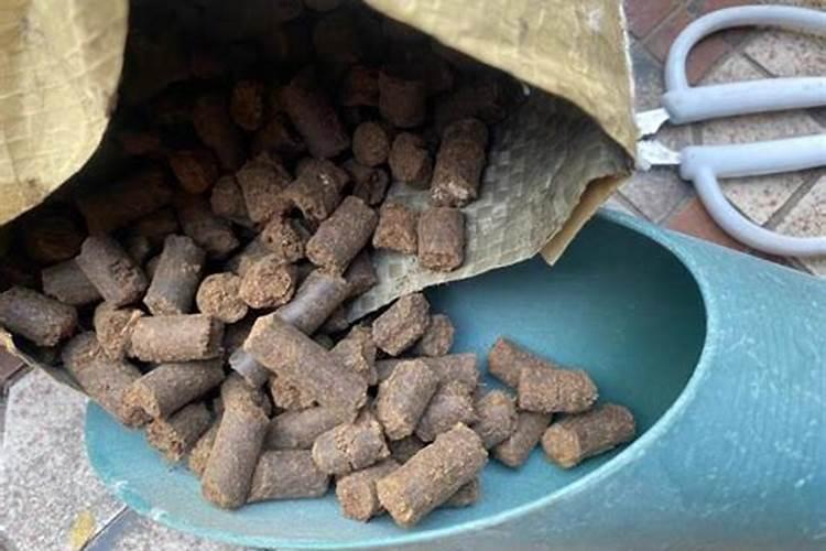 月季冬季怎么施底肥