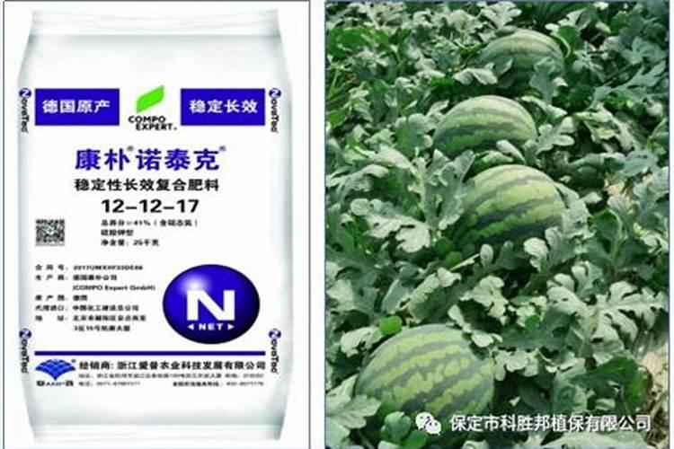 氮肥超标对西瓜危害是什么