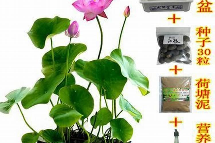 大棚西瓜用的冲施肥是多少次性投入还是一次性投入？