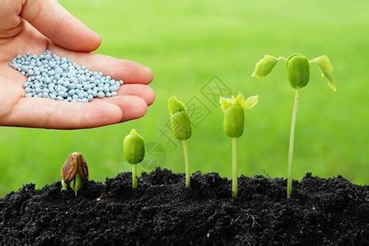 肥料可以兑水浇花吗