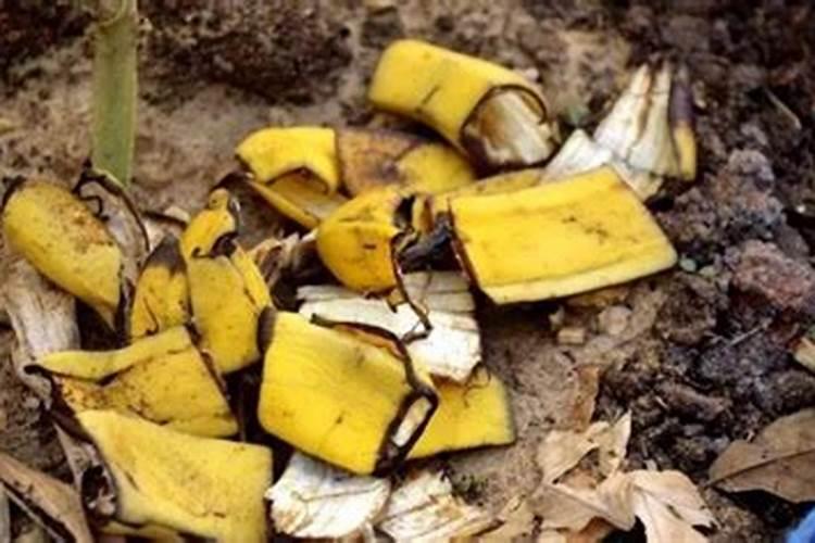 发酵水果皮属于氮肥吗