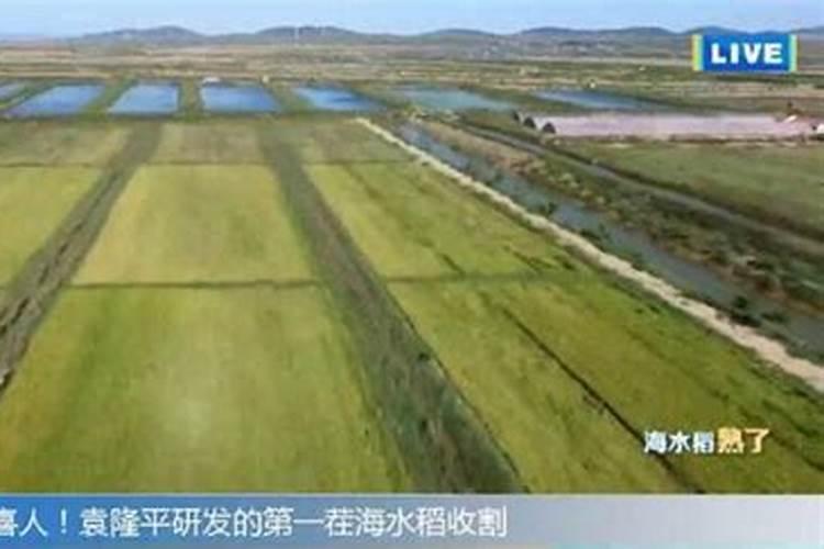 生石灰怎么消毒