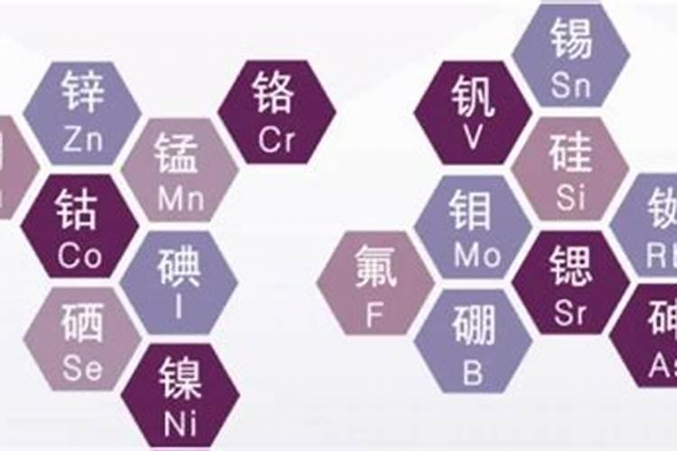 属于人体必须的微量元素是什么？