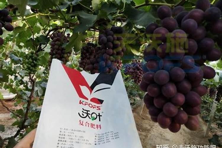 大量元素水溶肥为什么都说进口的好？？具体好在哪呢？