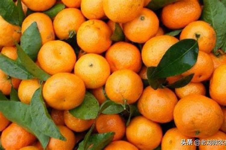 赤霉酸兑水的正确方法