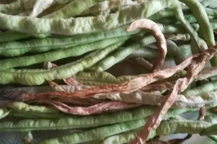 豆角种植怎样才能高产