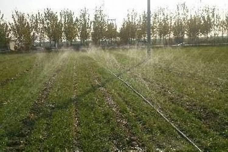 钙镁硼锌钾肥最简单三个步骤