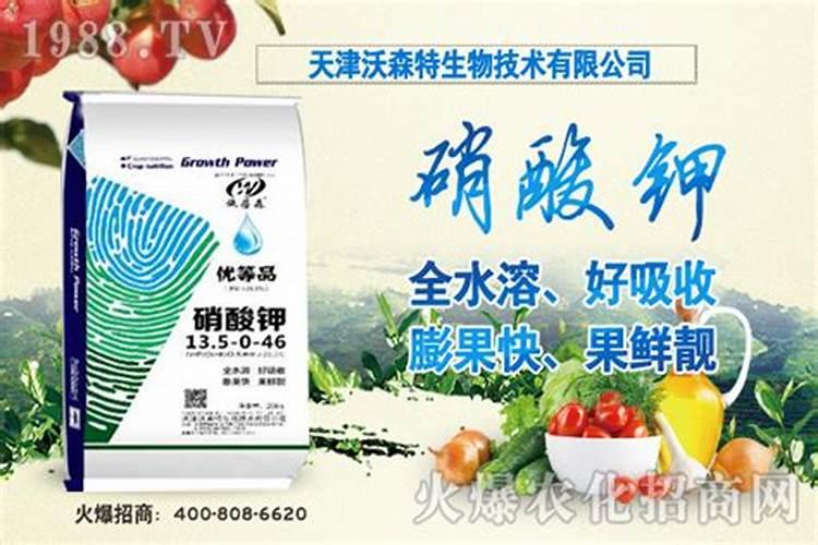 钾肥和硼肥膨大果实适宜比例是多少