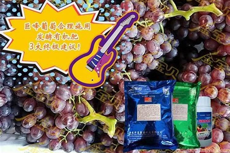 巨峰葡萄转色前喷糖醇钙好吗