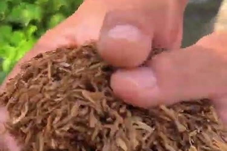 水稻什么时候施钾肥,钾肥对水稻的作用