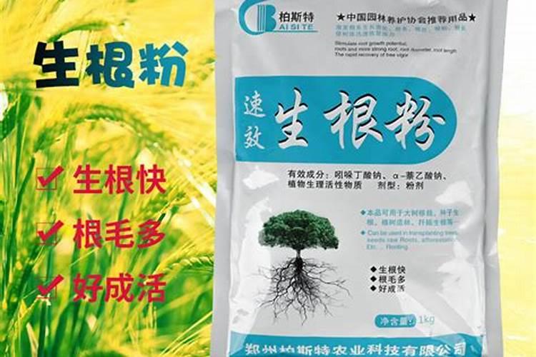 生根粉和磷酸二铵能在一起用吗？
