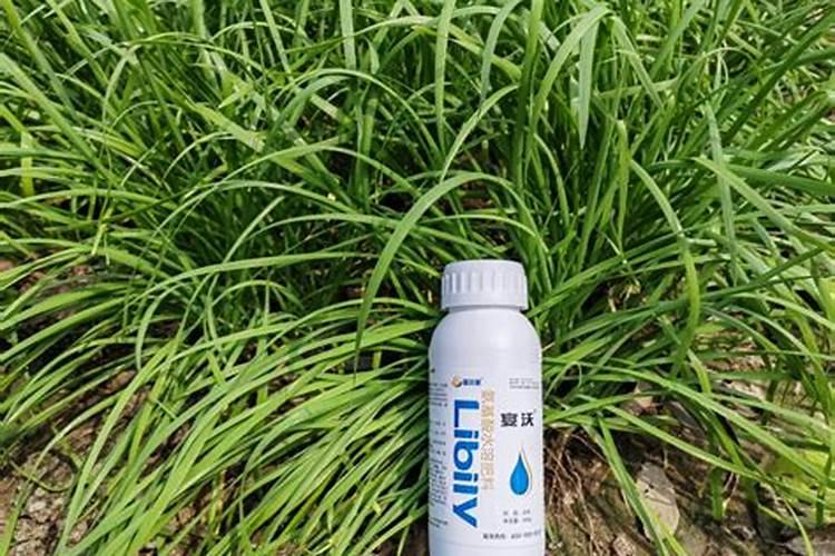 种菜用什么化肥最好