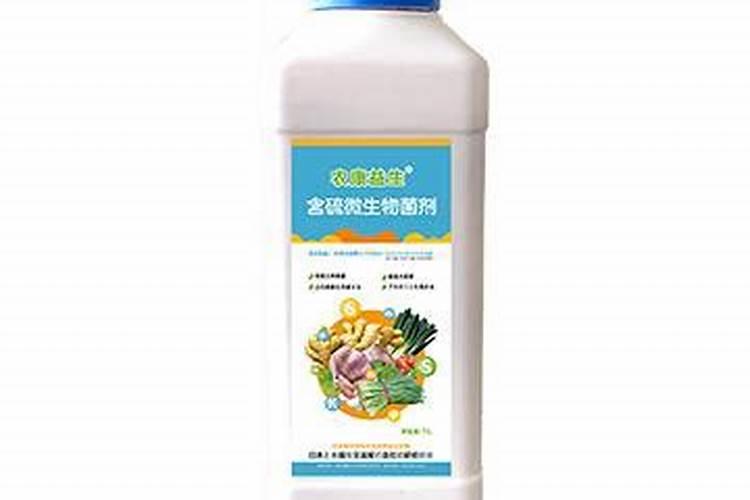 番茄,西瓜,黄瓜用什么肥料养根,生根壮苗主要用什么肥