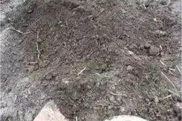 如何科学施用窑灰钾肥？