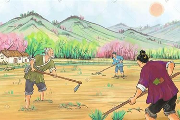 人只是勤快有用吗？