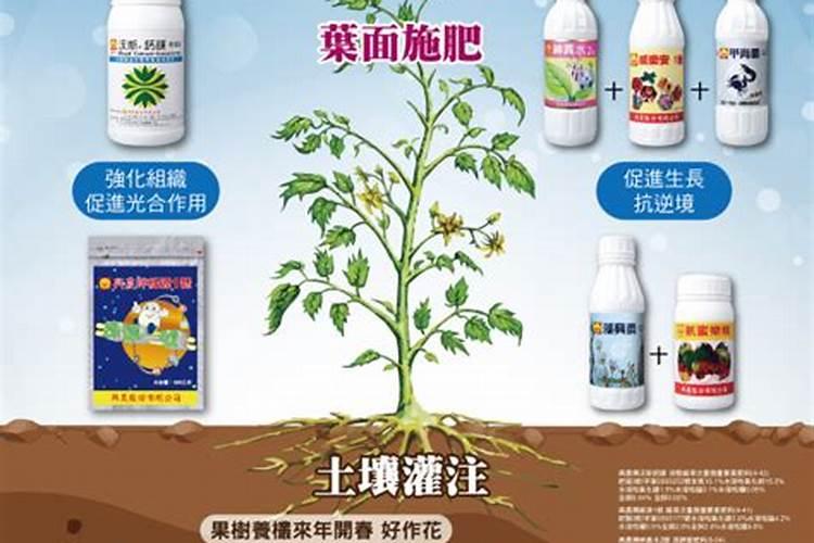 中药材壮根肥什么时候施肥,中药材追肥用什么肥料好？用什么肥料可以生根...