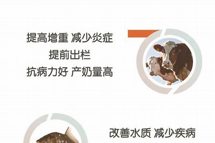 西红柿脐腐病防治？番茄脐腐病是什么原因造成的？西红柿脐腐病用什么...